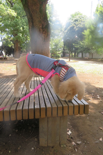 ファイル 6640-3.jpg