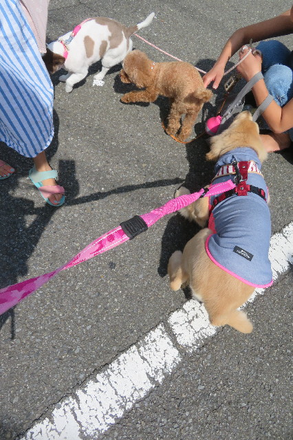 ファイル 6640-5.jpg