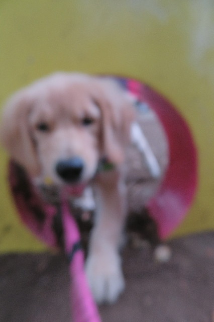 ファイル 6642-3.jpg