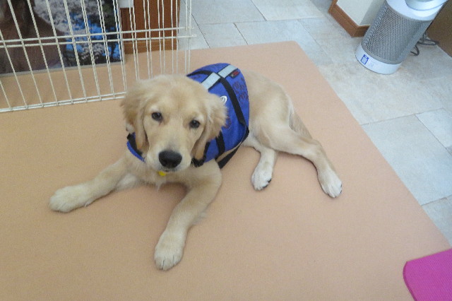 ファイル 6643-5.jpg