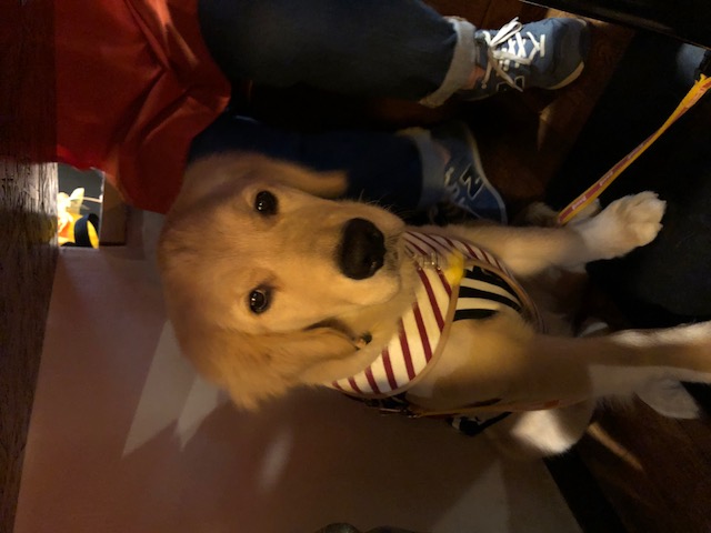 ファイル 6644-2.jpg