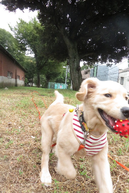 ファイル 6645-5.jpg