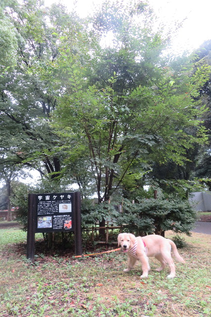 ファイル 6646-3.jpg