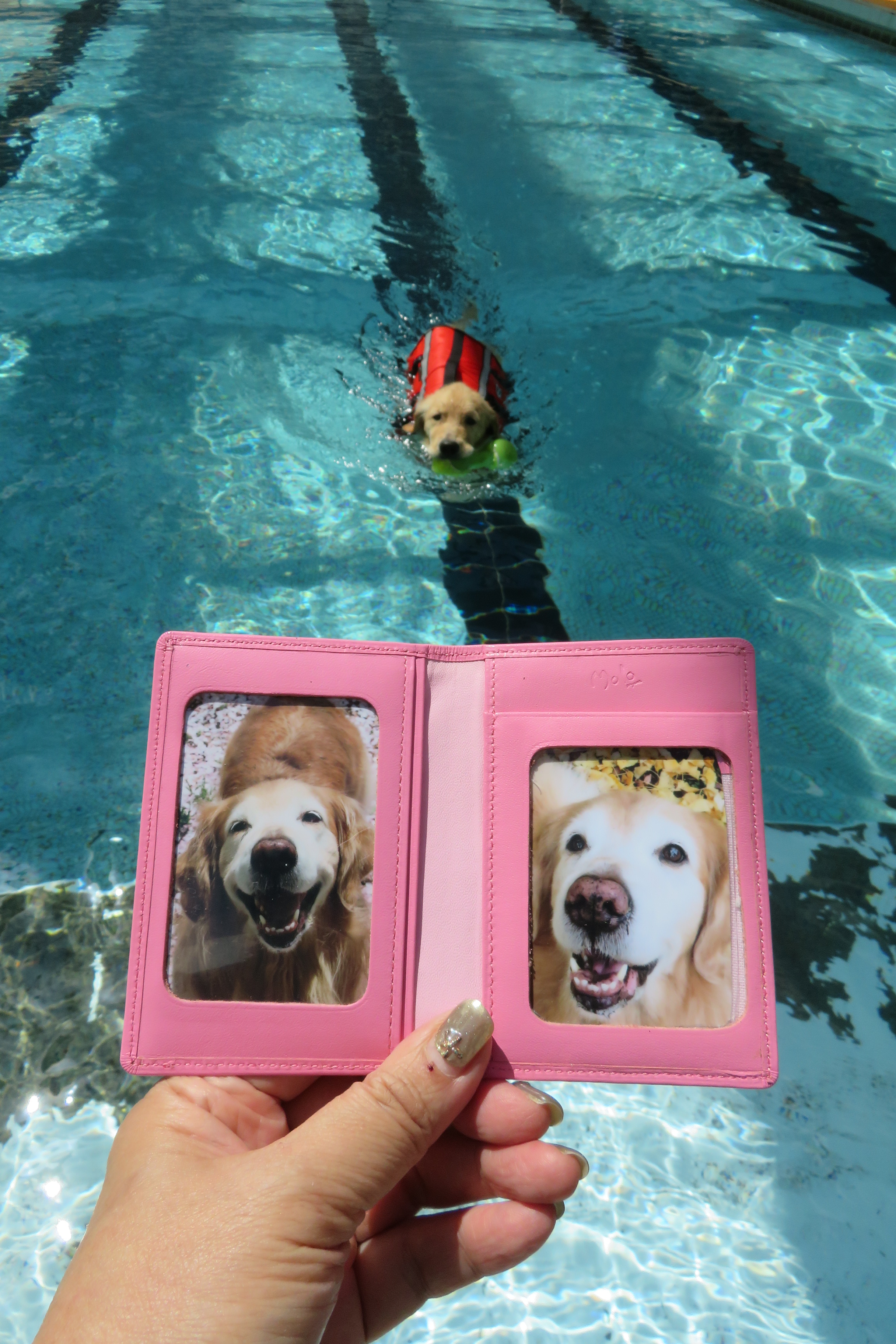 ファイル 6647-1.jpg