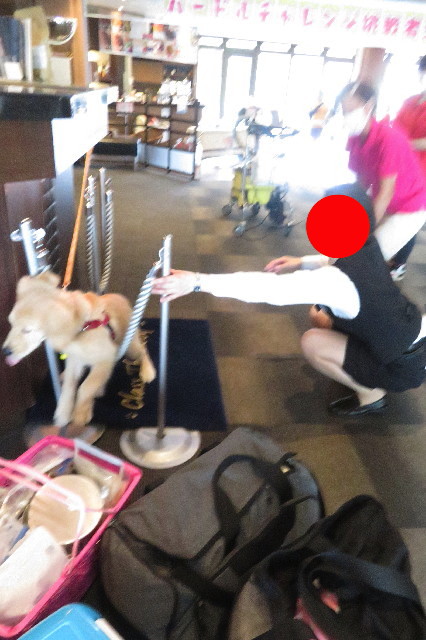 ファイル 6647-3.jpg