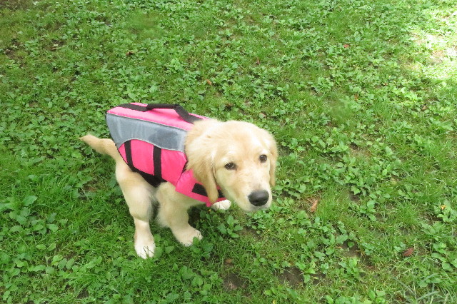 ファイル 6647-5.jpg