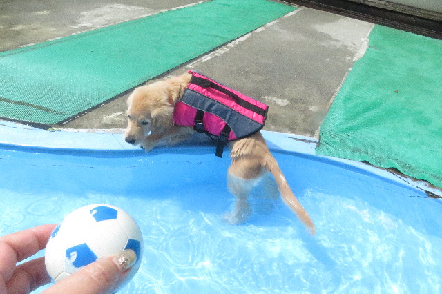 ファイル 6648-2.jpg