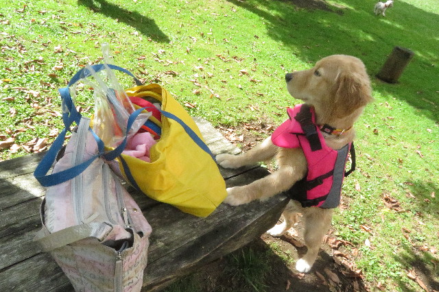 ファイル 6648-5.jpg