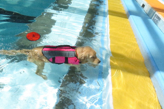 ファイル 6649-1.jpg