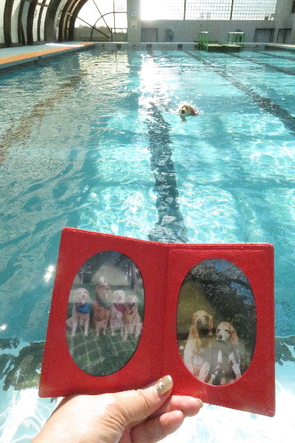 ファイル 6649-4.jpg