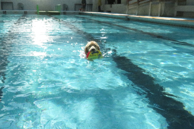 ファイル 6649-5.jpg