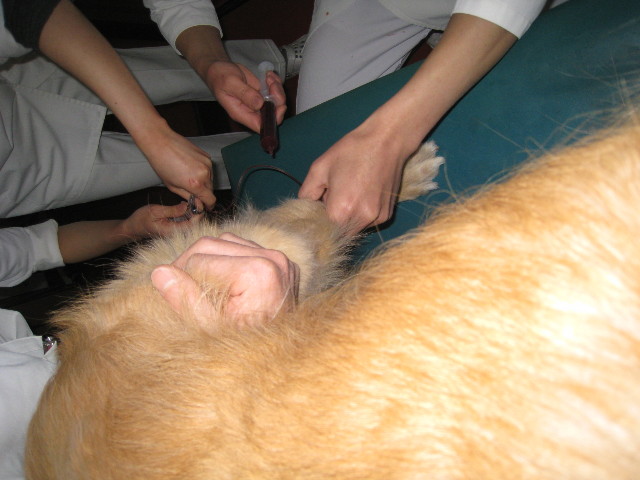 ファイル 665-1.jpg