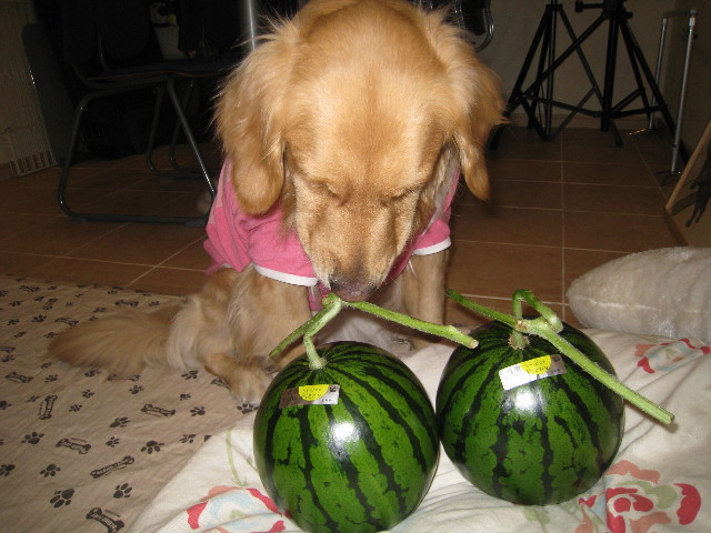 ファイル 665-4.jpg