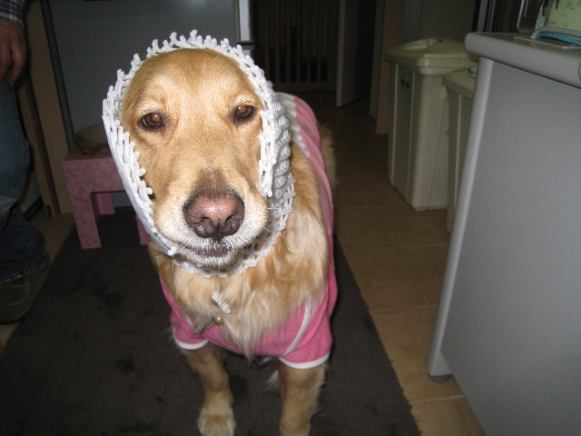 ファイル 665-5.jpg