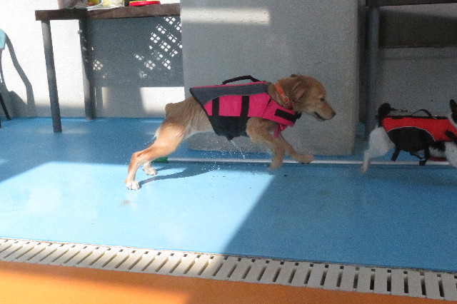 ファイル 6650-2.jpg