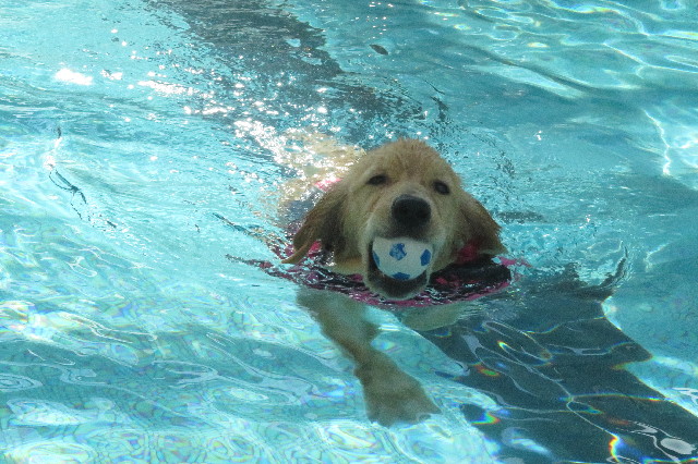 ファイル 6650-3.jpg