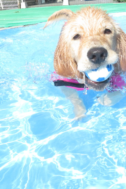 ファイル 6650-4.jpg