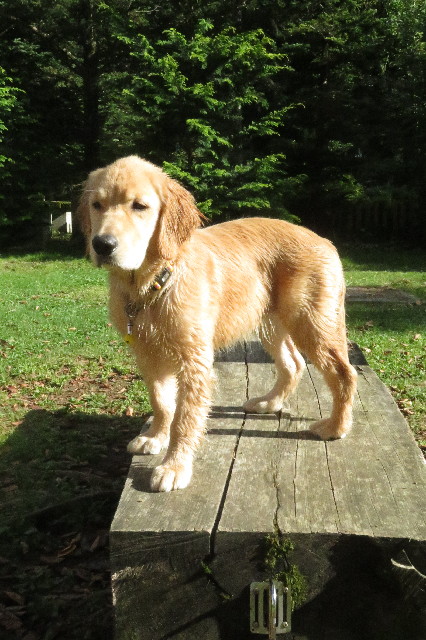 ファイル 6651-1.jpg