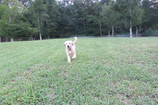 ファイル 6652-2.jpg