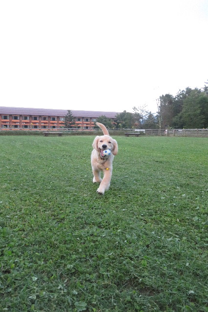 ファイル 6652-3.jpg