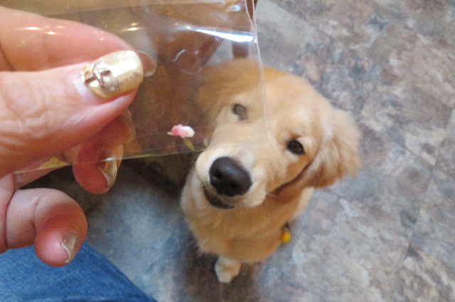 ファイル 6653-2.jpg