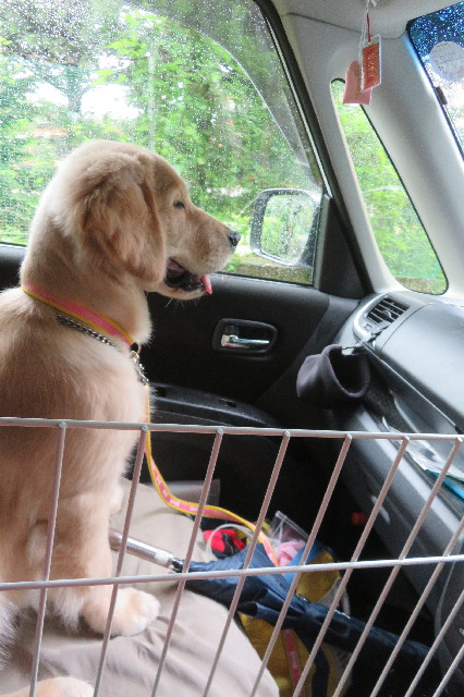 ファイル 6653-4.jpg