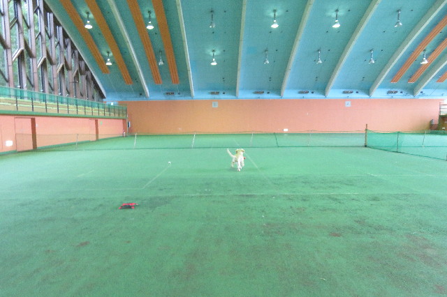 ファイル 6653-5.jpg