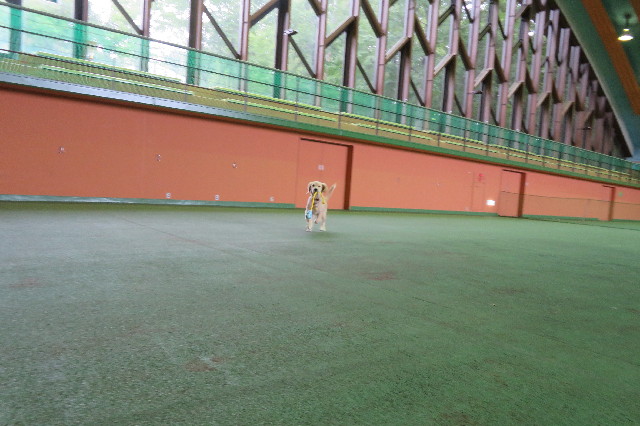 ファイル 6654-1.jpg