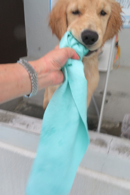 ファイル 6655-3.jpg