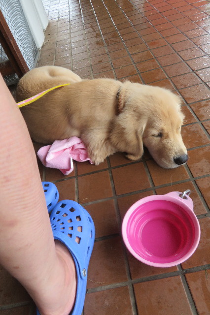 ファイル 6655-4.jpg