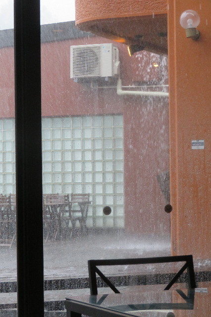 ファイル 6656-1.jpg