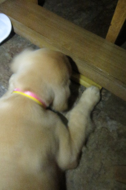 ファイル 6656-3.jpg