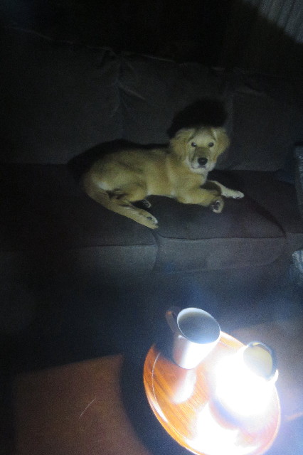 ファイル 6656-4.jpg