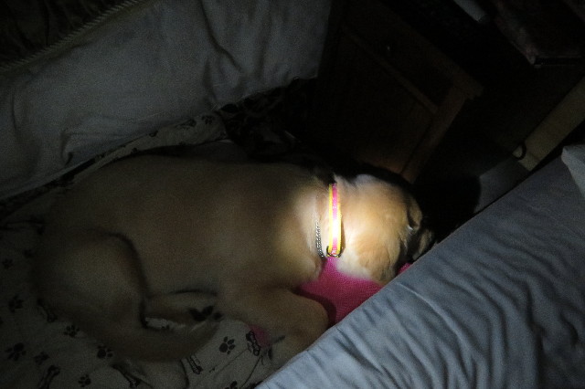 ファイル 6656-5.jpg