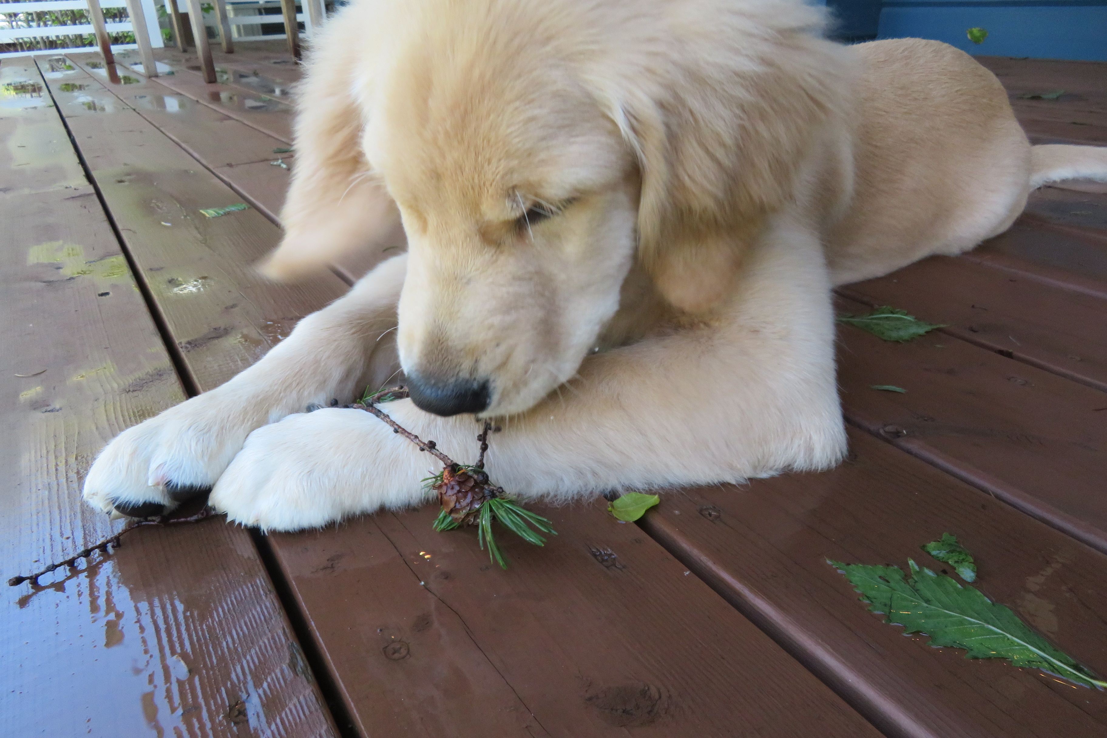 ファイル 6657-3.jpg