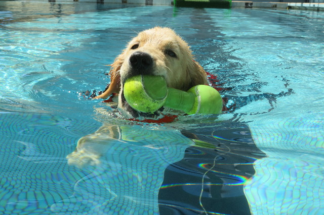 ファイル 6658-2.jpg