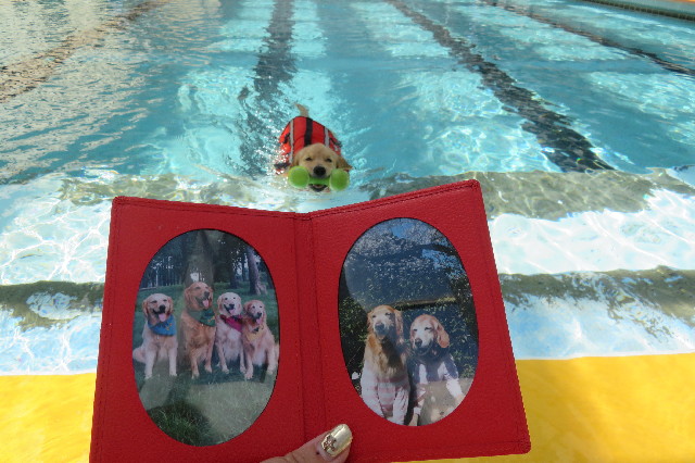 ファイル 6658-3.jpg