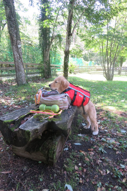 ファイル 6659-3.jpg