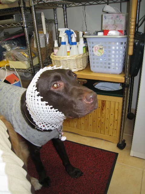 ファイル 666-5.jpg