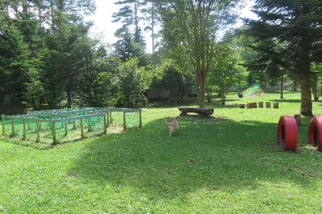 ファイル 6660-2.jpg