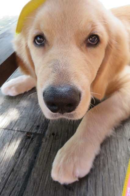 ファイル 6660-3.jpg