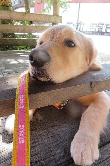 ファイル 6660-4.jpg