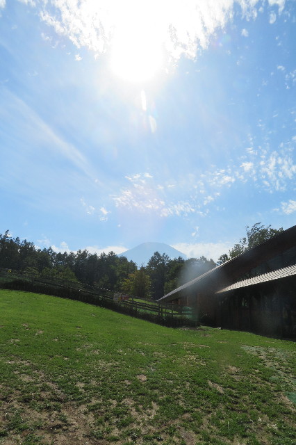 ファイル 6660-5.jpg