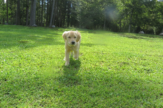 ファイル 6661-1.jpg