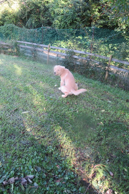 ファイル 6661-3.jpg