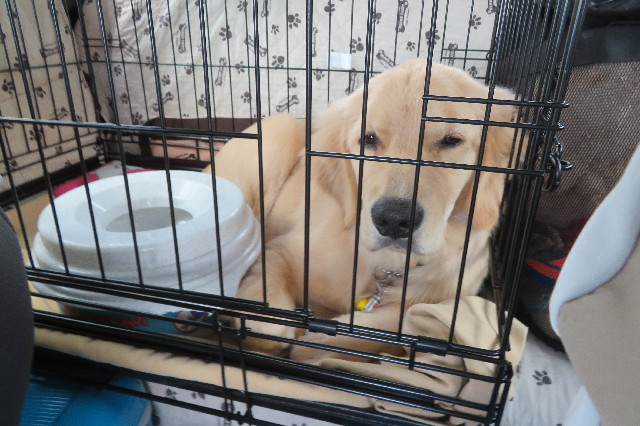 ファイル 6662-2.jpg