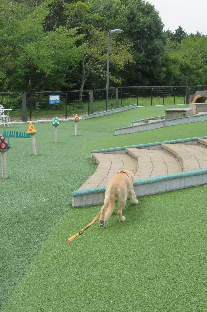 ファイル 6662-3.jpg