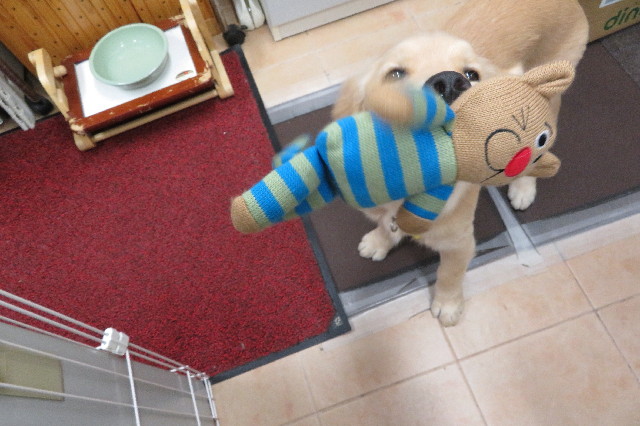 ファイル 6663-3.jpg