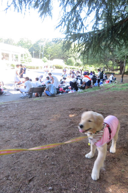 ファイル 6664-4.jpg