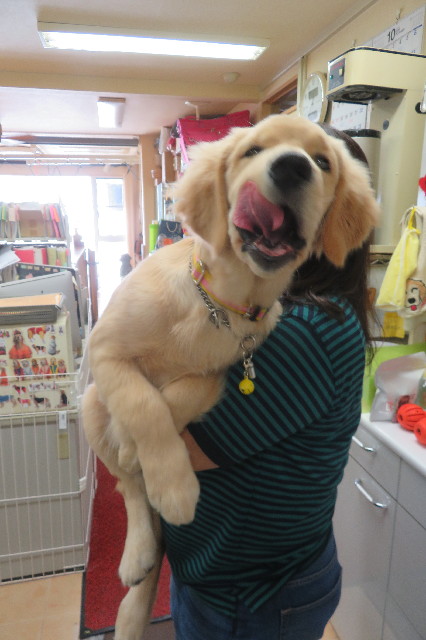 ファイル 6665-4.jpg